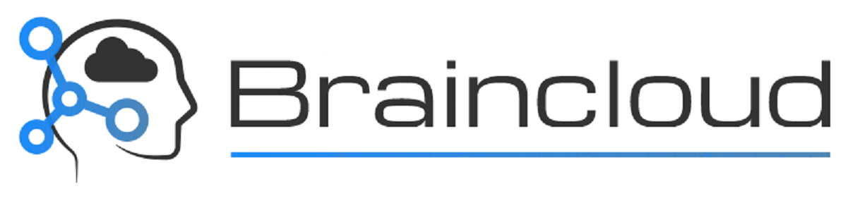 Braincloud | Artificial Intelligence and Data Analytics Consultancy